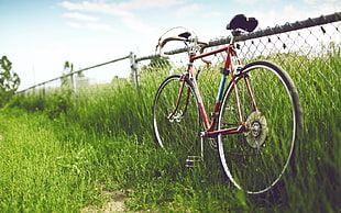 road bike beside fence during daytime