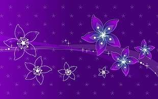 closeup photo of purple petaled flower illustration