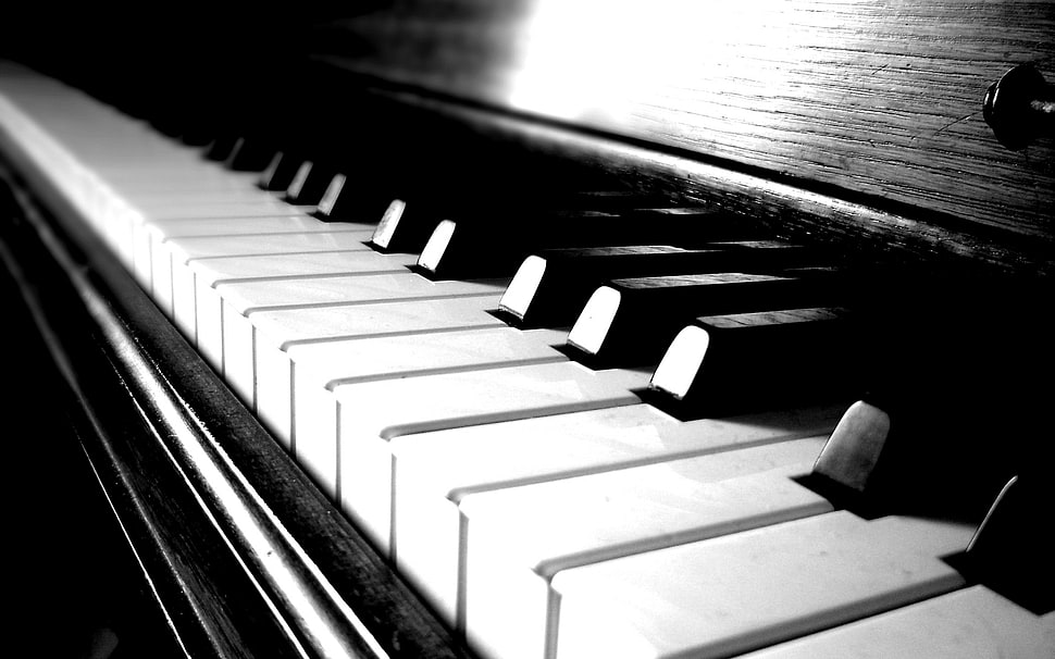 macro shot of piano HD wallpaper