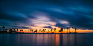landscape photo of trees on island near body of water, san diego
