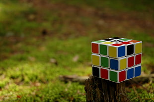 3x3 Rubik's cube on wood near grasses HD wallpaper