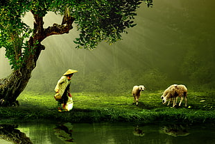 portrait of man beside white sheeps in front of lake in the middle of forest