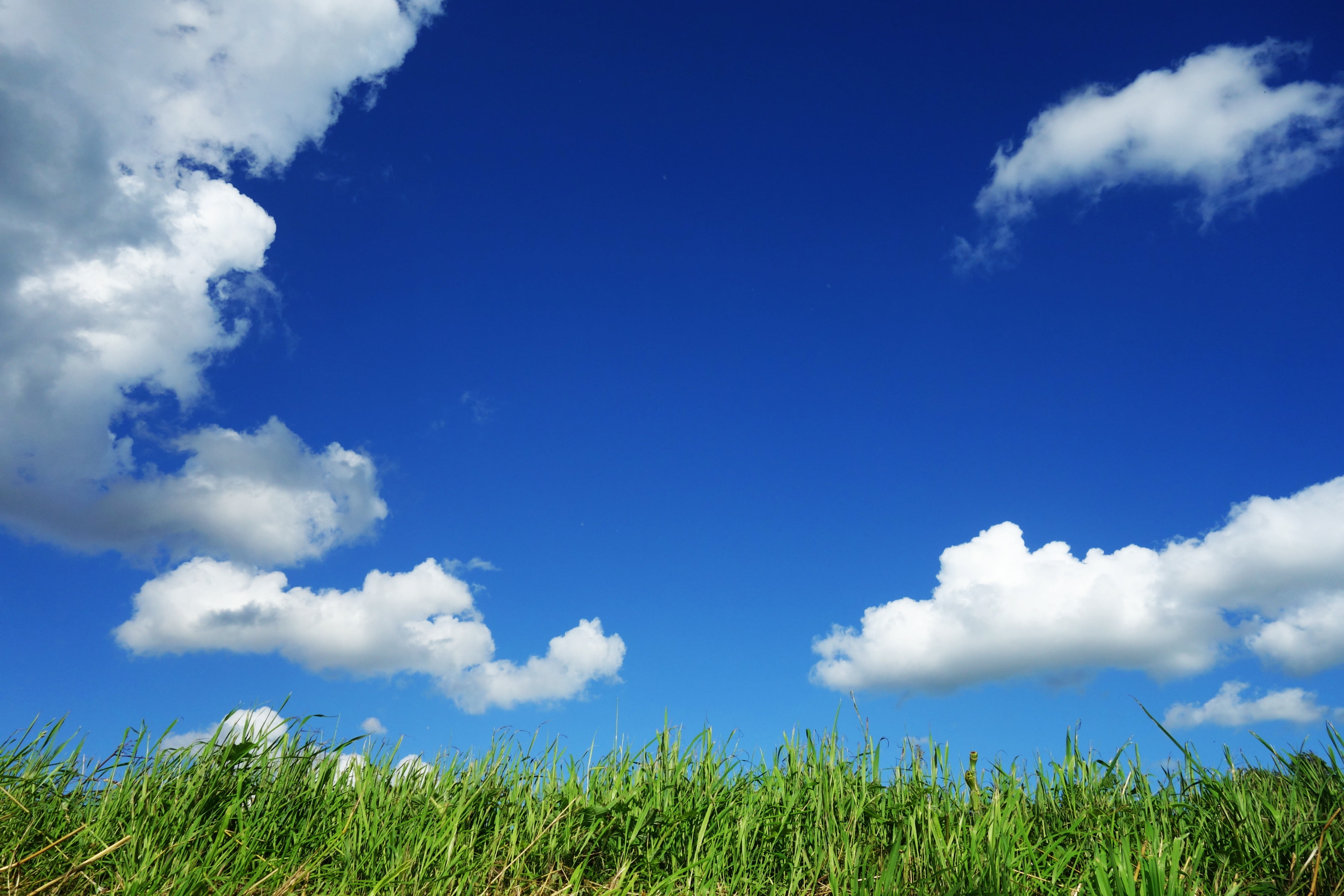 nature, sky, sunny, clouds