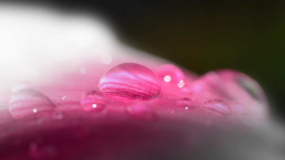 water droplet HD wallpaper