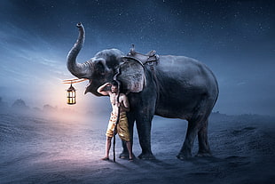 man beside black elephant digital wallpaper, fantasy art, elephant, men