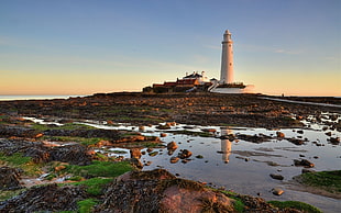 white lighthouse, nature, landscape, lighthouse, evening HD wallpaper