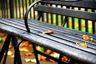 close-up view of black wooden bench