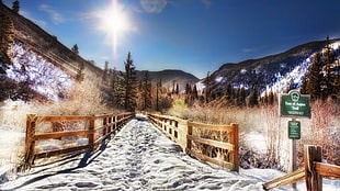 brown wooden fences side of snow road HD wallpaper