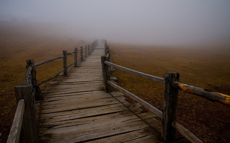 brown and black metal bed frame, bridge, landscape, mist HD wallpaper