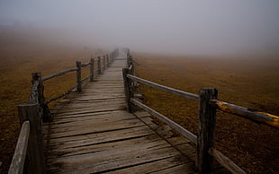 brown and black metal bed frame, bridge, landscape, mist