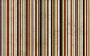 multicolored line graphics HD wallpaper