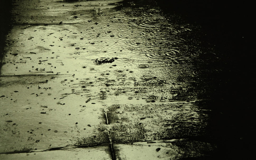 rain, water HD wallpaper