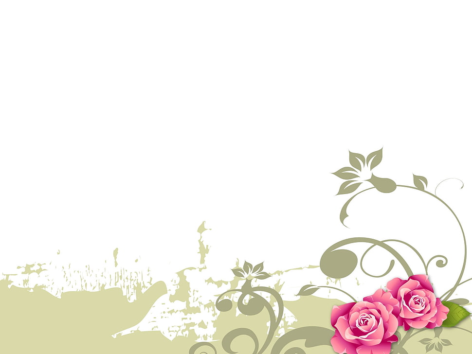 vector art of pink roses HD wallpaper