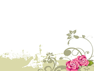 vector art of pink roses
