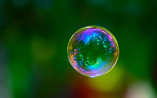 close-up photo of clear bubble