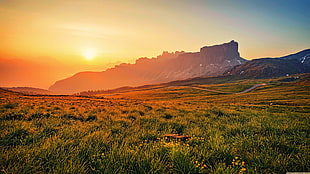 green leafed grass, landscape, nature, mountains, sunset