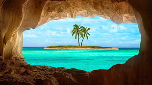 coconut tree, island, Caribbean, cave HD wallpaper