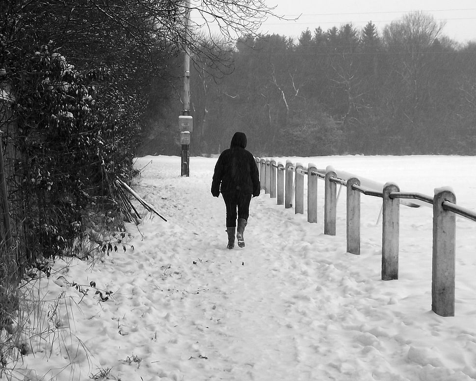 person's hoodie grayscale photo, winter, snow HD wallpaper