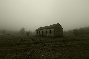 gray house, mist, abandoned, spooky, building HD wallpaper