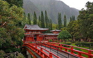 red wooden railings bridge near green leaves tree