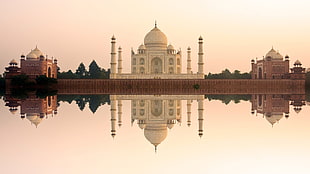 gray robot illustration, Taj Mahal, architecture, reflection