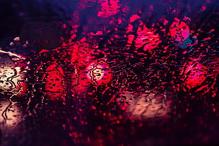 red and black city lights