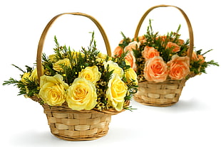 yellow and orange petal flowers in basket