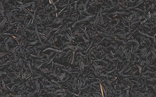 black dried leaf lot, bark, nature