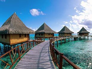 brown and black wooden dock, island, sea, landscape HD wallpaper