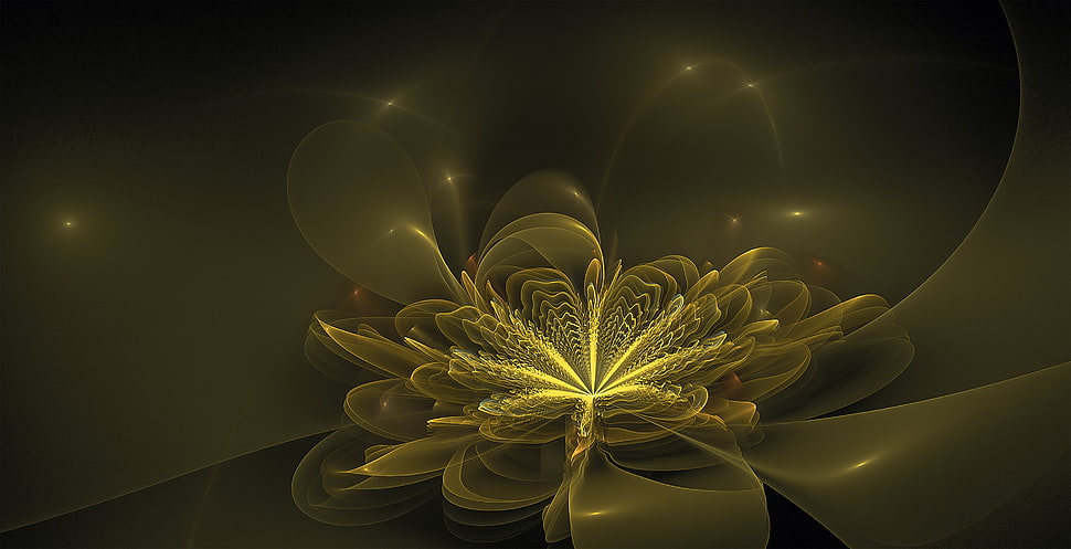 yellow flower digital wallpaper HD wallpaper
