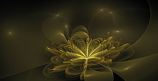 yellow flower digital wallpaper