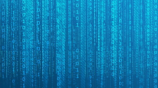 binary matrix, binary