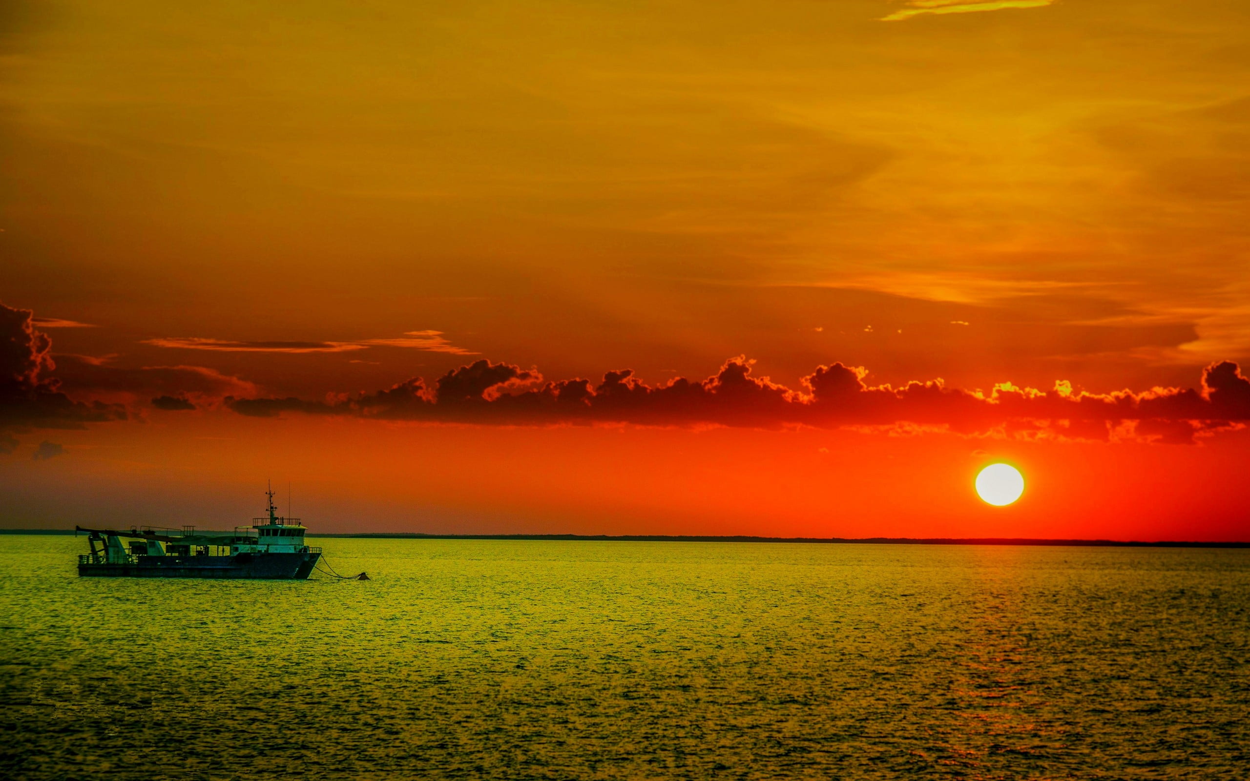 black and white cruise ship, landscape