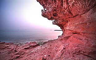 closeup photo of stone near seashore