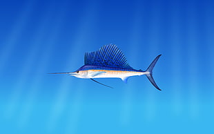 blue marlin fish graphic wallpaper