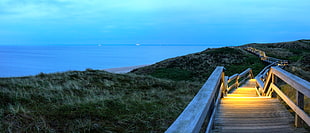 grey wooden broadwalk near sea during daytime