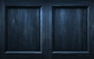 gray wooden paneled door, wood