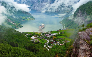 landscape of forest, Norway, nature, landscape, river HD wallpaper