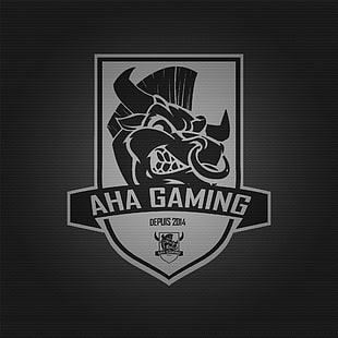 black and white printed textile, e-sport, aha gaming, video games HD wallpaper