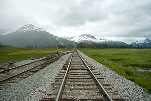 gray and brown metal train trail near grass, alaskan