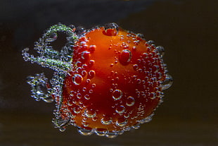 macro photography of orange tomato with water dew