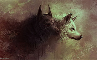 two black and white wolves digital wall paper