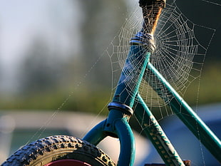 selective photo of spider wed in green bicycle frame HD wallpaper