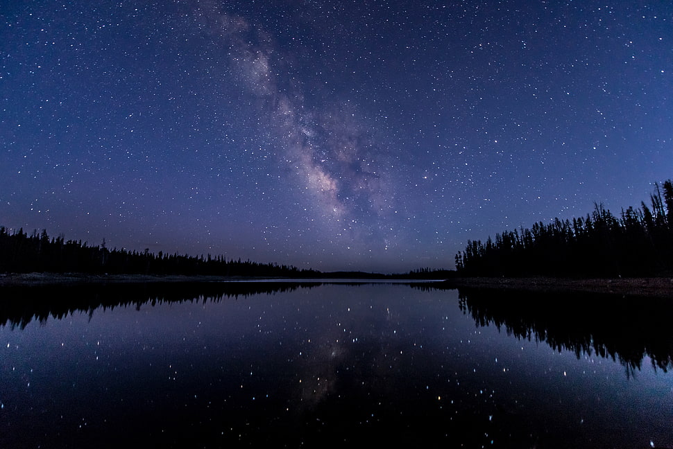 body of water, Night sky, Stars, Starry sky HD wallpaper
