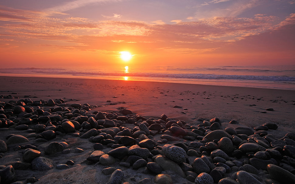 rocks in seashore during golden hour HD wallpaper