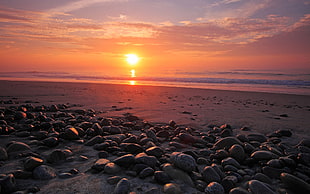 rocks in seashore during golden hour