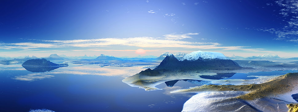 white and black fish with fish, landscape, multiple display HD wallpaper