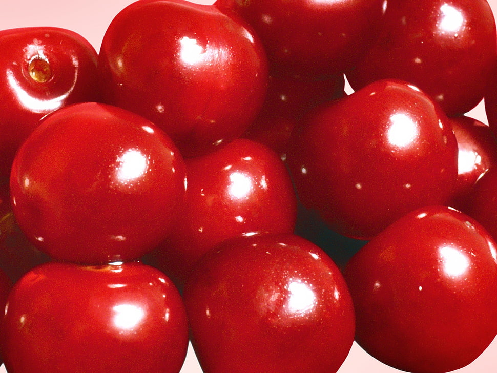 closeup photo of red cherries HD wallpaper