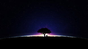 silhouette photo of tree, trees HD wallpaper