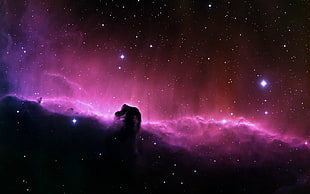 Horsehead nebula, space, Horsehead Nebula